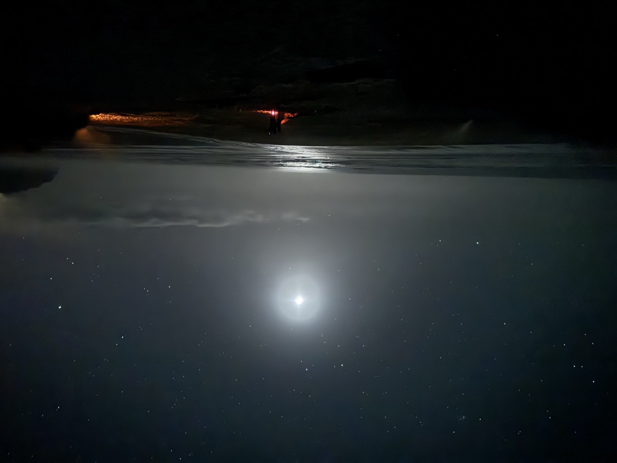 Moonlit beach at night