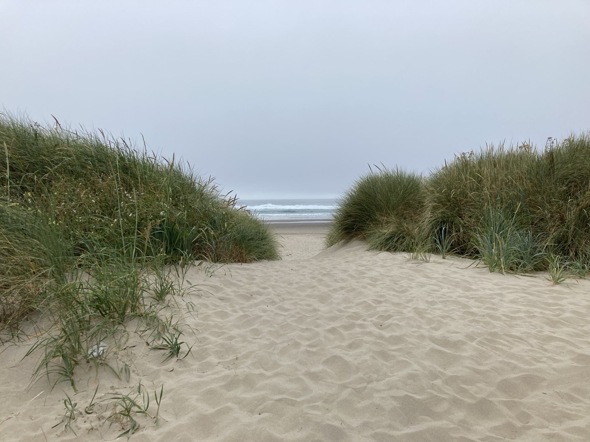 Path through the dunes to the ocean